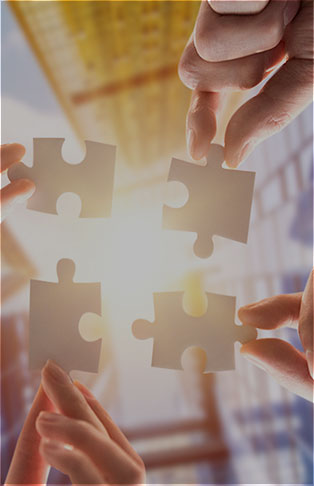 核心價(jià)值觀(guān)(圖4)