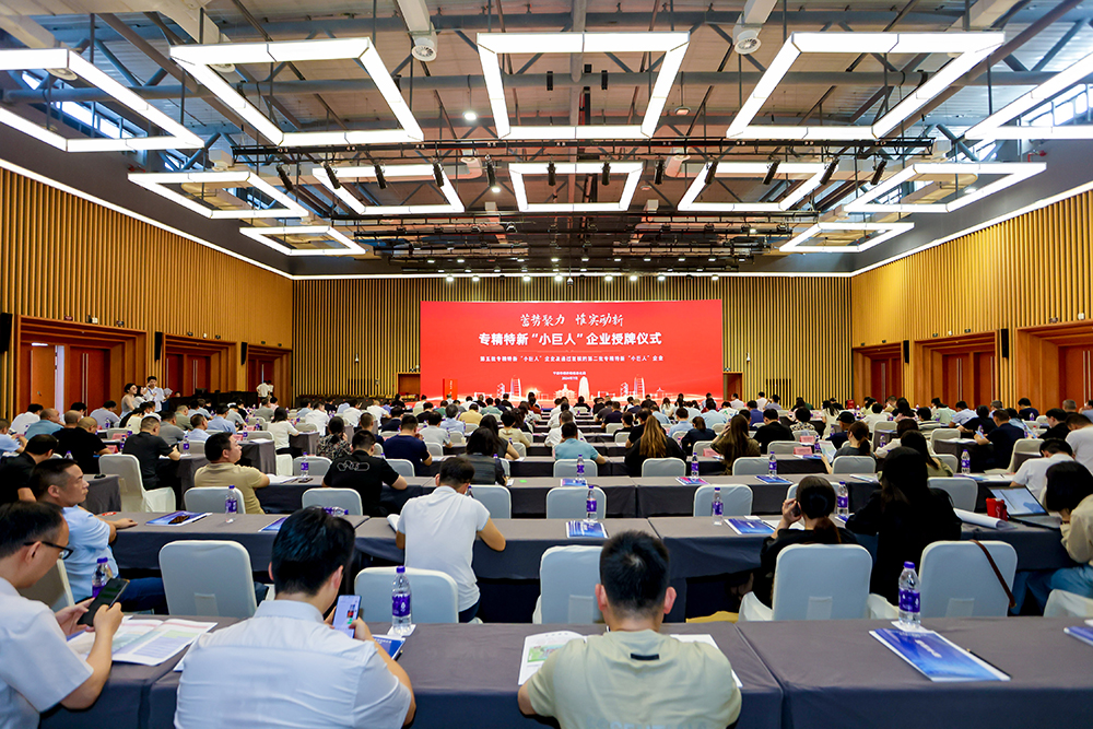 公司成功通過(guò)專(zhuān)精特新“小巨人”企業(yè)復評，創(chuàng  )新實(shí)力再獲認可(圖3)