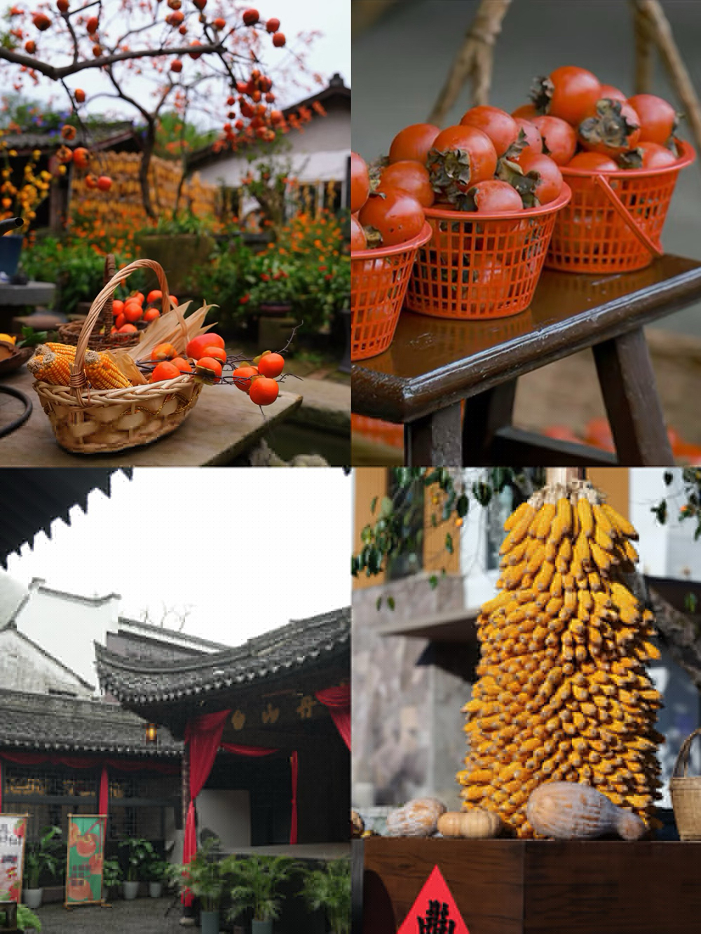 踏秋四明山，聚力向未來(lái) | 我們的四明山柿林村徒步之旅(圖3)