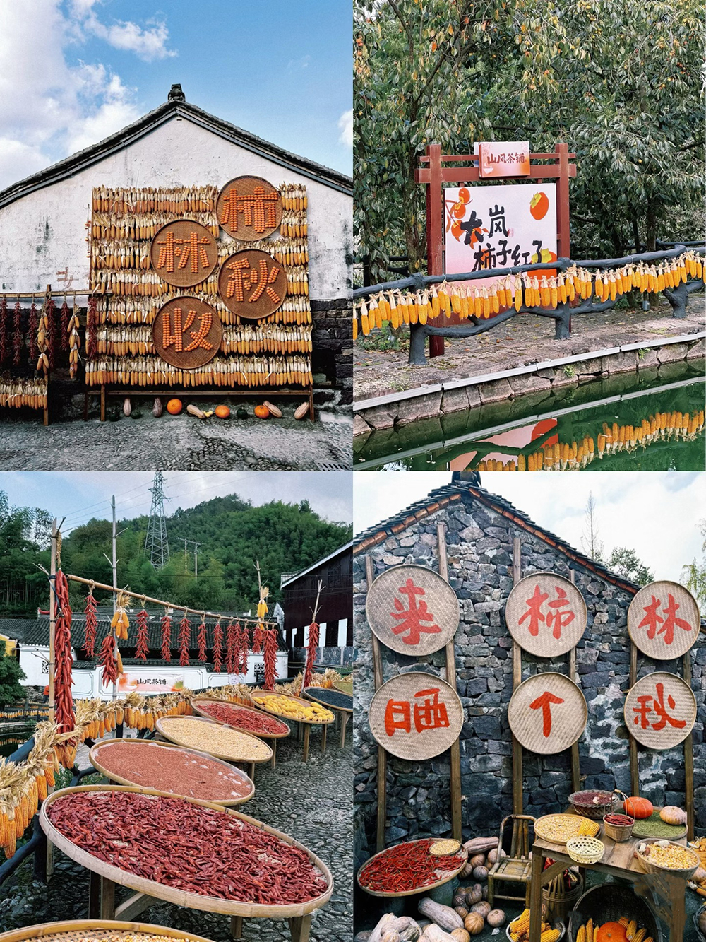 踏秋四明山，聚力向未來(lái) | 我們的四明山柿林村徒步之旅(圖2)